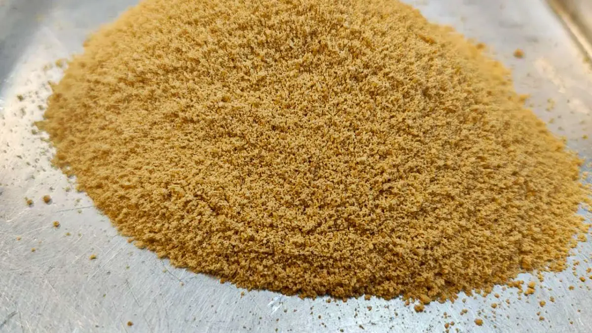 Pesquisadores desenvolvem açúcar de cana com baixo índice glicêmico