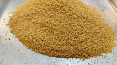Pesquisadores desenvolvem açúcar de cana com baixo índice glicêmico