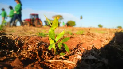 Prêmio SP Carbono Zero anuncia projetos vencedores da 2ª edição e abre votação popular